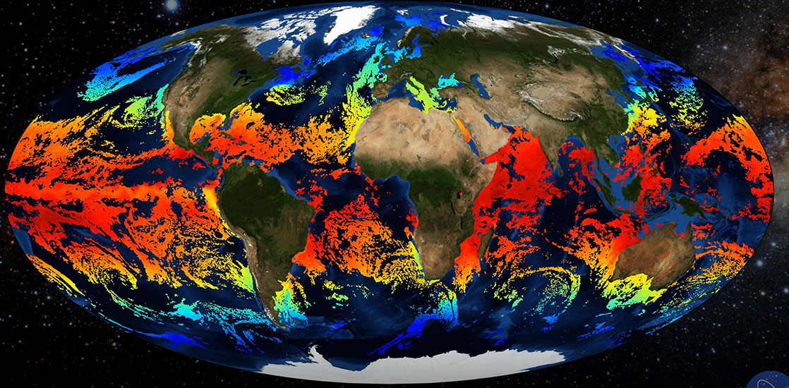 This graphic illustrates information gathered from the NOAA/STAR GHRSST L3S LEO_AM Daytime SST derived from the Advanced Very High Resolution Radiometer (AVHRR) onboard MetOp-A/B/C satellites