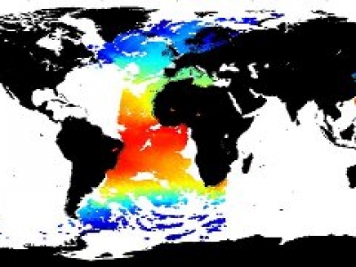NAVO VIIRS L2P SST