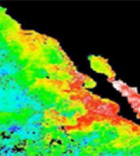 New Pathfinder Version 5.1 Data extends Satellite Derived Climate Data Record (C