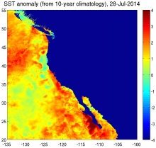 Figure 2.  Anomaly SST and SST gradient magnitudes on 28 July 2014